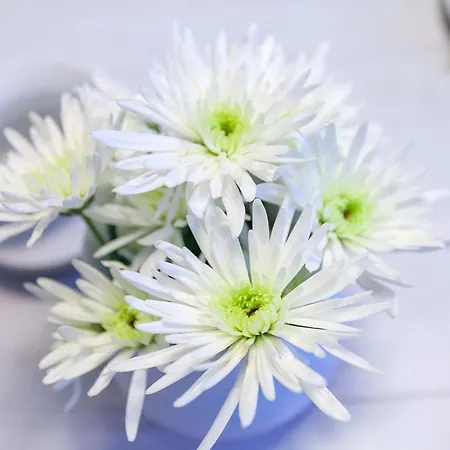 Granitz Meerglueck * Sellin (Rugen)