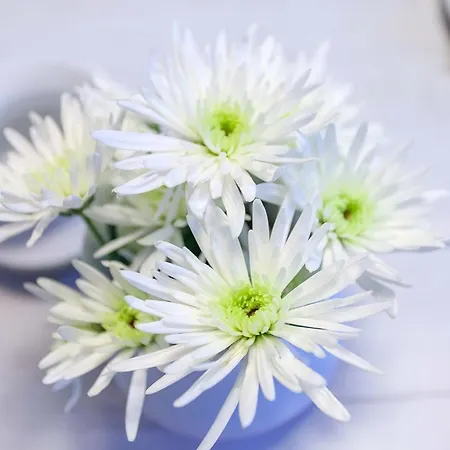 Villa Granitz, Ostseebad Sellin, Insel Ruegen, Ostseebrise * Sellin (Rugen)