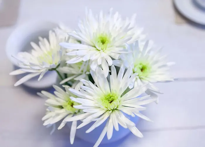 Granitz, Ostseebad Sellin, Insel Ruegen, Ostseebrise * Sellin (Rugen)